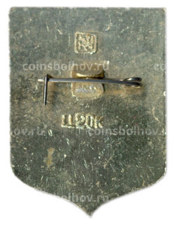 Значок Вытегра