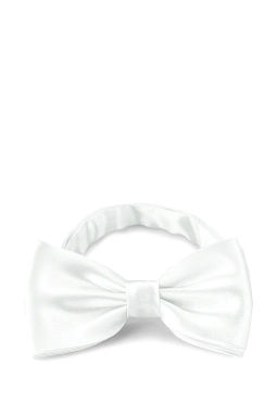 Галстук-бабочка мужской GREG Greg-poly 18-белый одн.1.151