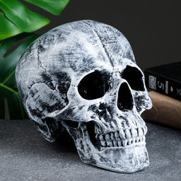 Копилка для денег «Череп», полистоун, 16×13×22 см