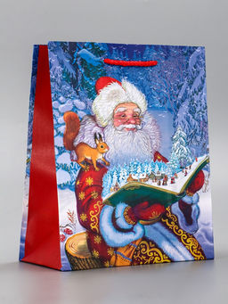 Цена за 6 шт. Пакет подарочный новогодний ламинированный, «Дед мороз», 18×10×22.3 см
