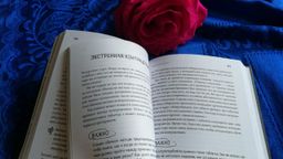 Viva la vagina. Хватит замалчивать скрытые возможности органа, который не принято называть - Эксмо фото 26