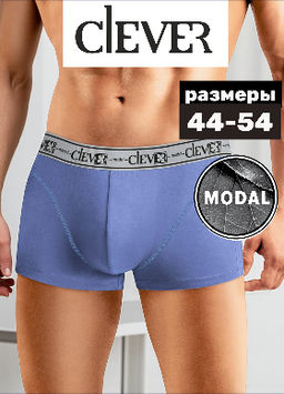 Трусы мужские шорты МОДАЛ - Clever wear фото 18