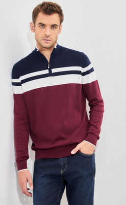 Джемпер мужской в полоску с воротником-стойкой на молнии F221-15-831 сине-бордовый