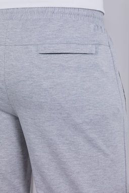 брюки спортивные 
 3.MMT003A-серый-светлый - Iron man фото 8