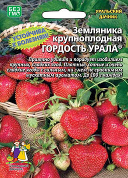 Земляника ГОРДОСТЬ УРАЛА Крупноплодная!
