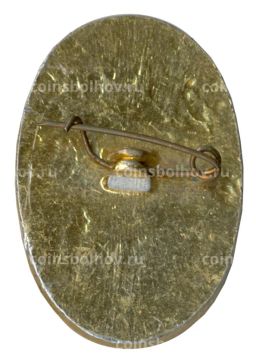 Значок Дзюдо  Пермь