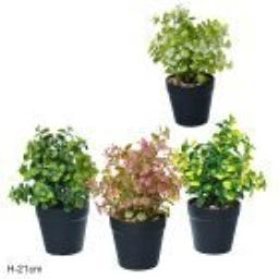 Цветочная композиция Зелень / 17051 /уп 12/108/ - Галеонтрейд фото 7