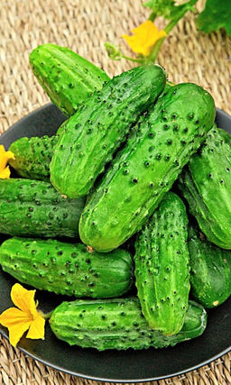 Огурец ЭКСТРИМ F1 Толерантен к температурным стрессам! Вкусовые качества великолепные! Хорош для засола и консервирования!