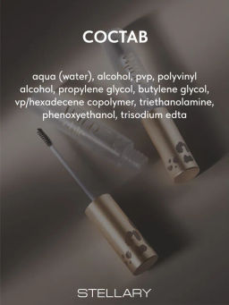 Stellary Прозрачный гель для бровей Brow Gel Wild Chic collection тон 01  фото 8