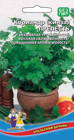 Кориандр (кинза) ПРЕЛЕСТЬ Небывалая урожайность! Высокая облиственность! Повышенная ароматичность!