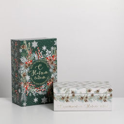 Набор подарочных коробок 5 в 1 «Зима время чудес», 32.5 х 20 х 12.5 - 22 х 14 х 8.5 см, Новый год