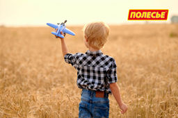 Самолёт Омега (в сеточке) - Полесье фото 21