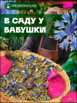 Зеленый ароматизированный чай В саду у бабушки