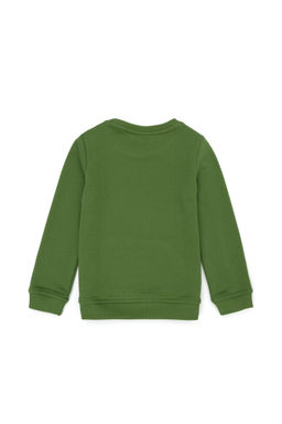 U. S. Polo Assn Зеленый базовый свитшот с круглым вырезом для мальчиков - U.s. polo assn фото 2