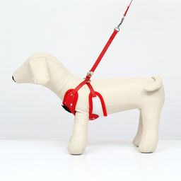 Комплект с мягкой шлейкой и бантиком Якорь, размер S, поводок 120 x 1,5 см, ОГ 23-42 см, красный - Пижон фото 2