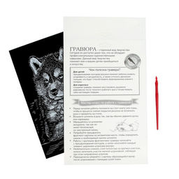 Гравюра Щенок хаски с металлическим эффектом серебро А4 - Школа талантов фото 5