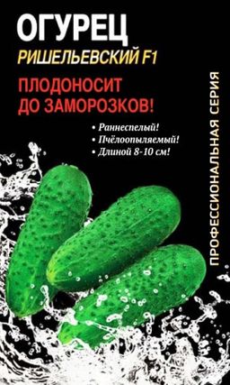 Огурец РИШЕЛЬЕВСКИЙ F1