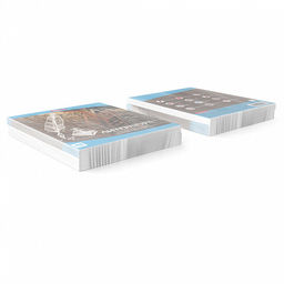 Цена за 5 шт. Тетрадь общая ученическая ErichKrause Перспектива, Литература, 48 листов, линейка  фото 3