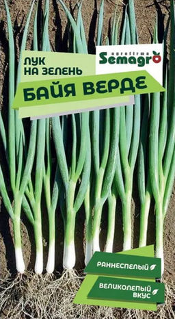 8046N Лук на зелень Байя Верде 200шт