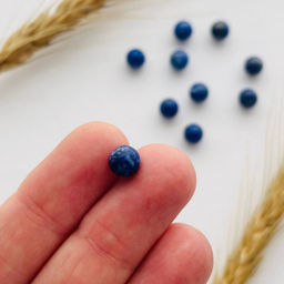 Бусины для украшений из Лазурита (10 шт)
