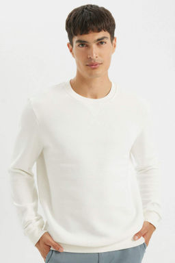 Regular Fit Bisiklet Yaka Kal?n Basic Duz Sweatshirt - Defacto фото 13
