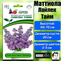 Маттиола срезочная махровая Бьютифул Парфюм Лайлек Тайм - Партнер фото 2