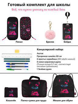 Рюкзак SkyName set-R9-15 + мешок для обуви, папка, пенал, кошелек, бейдж, канц. наб, брелок , значки  фото 15