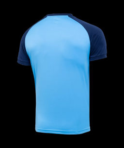 Футболка игровая JOGEL CAMP Reglan Jersey, синий/темно-синий, детский