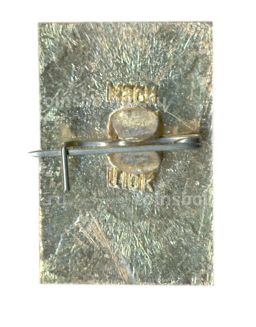 Значок Владимир