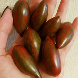 7142T Томат Фиолетовый смарагд 10шт