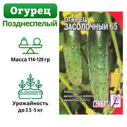 Цена за 5 шт. Семена Огурец "Засолочный", 0,5 г