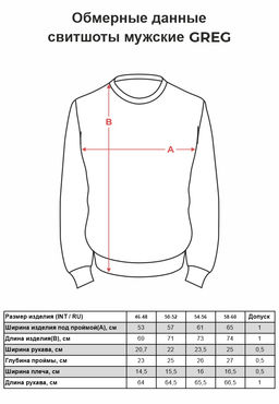 Свитшот мужской GREG G121-California (гол.джин.м)  фото 8
