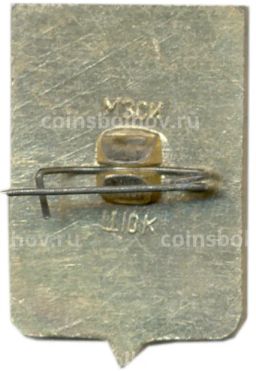 Значок Чебоксары