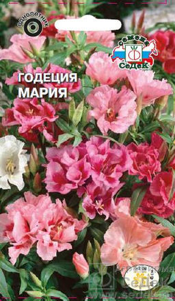 Годеция Мария махровая 0,2г (СеДеК)