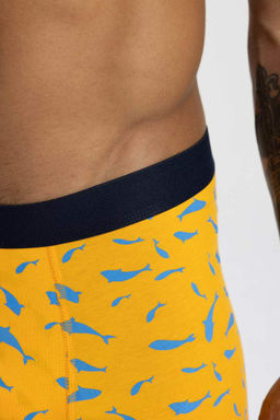 Комплект боксеров стандартной посадки (3 шт.) - Defacto фото 4