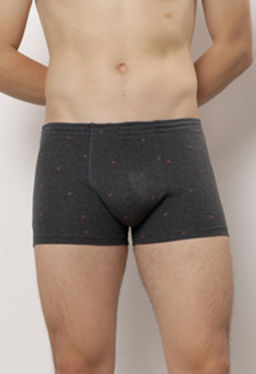ТРУСЫ МУЖСКИЕ арт. 6523M-40010.2L-029