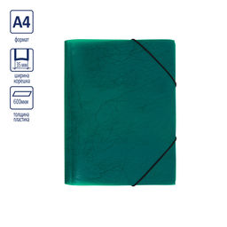 Expert Complete Premier Папка на резинке A4 600 мкм 35 мм волокно 5 шт. зеленый new EC21043003