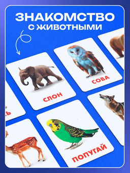 Магнитные карточки по методике Домана «Животные», 32 карты, 3+