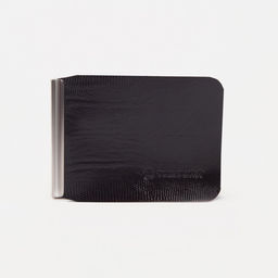 Зажим для купюр, с металлическим зажимом, игуана, цвет коричневый