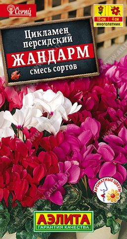 Цикламен персидский Жандарм, смесь сортов