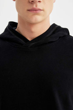 Базовая толстовка Comfort Fit с капюшоном - Defacto фото 8