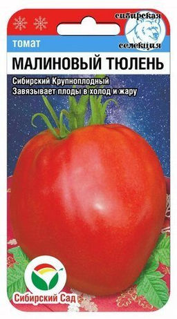 Малиновый тюлень томат 20шт (сс)