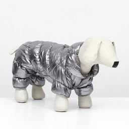 Комбинезон Блеск, размер XS (ДС 19 см, ОГ 28, ОШ 19 см, до 3 кг), серебряный 974874