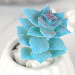 Суккулент искусственный 5,5х9 см / GN142 /уп 100/ - Галеонтрейд фото 4