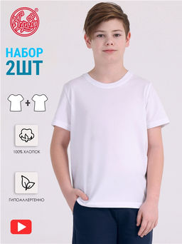 2футболки 2ПДФК5715001