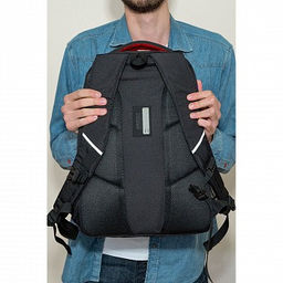 RU-330-2 Рюкзак - Grizzly фото 11