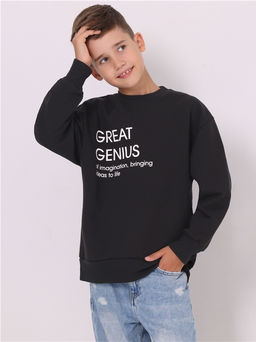 свитшот 1ПДСД3977335