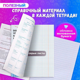 Набор предметных тетрадей 36 листов «Животные мемы», 12 предметов, серые листы