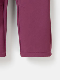Брюки Softshell Слива Bungly tec  фото 3