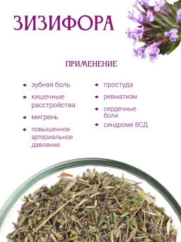 Зизифора пахучковидная - Травы горного крыма фото 2